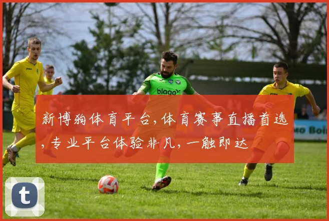 新博狗体育平台,体育赛事直播首选,专业平台体验非凡,一触即达